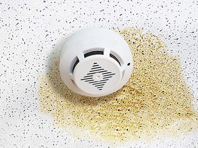 TD Roofing and Construction Images